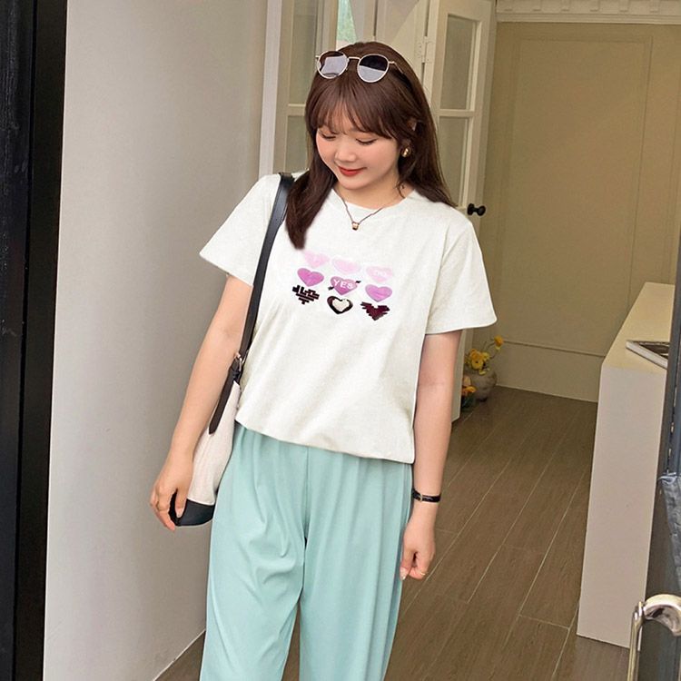 礭YESorNOϡȥץȾµT-
